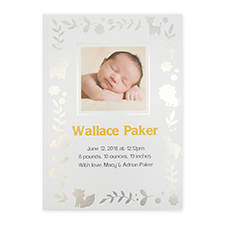 Foil Silver Animal Kingdom Personalised Photo Birth Announcement Cards