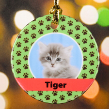 Cat Pet Personalised Photo Porcelain Ornament, Green