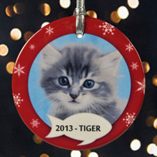 Kitty's Christmas Personalised Photo Porcelain Ornament