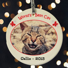 World's Best Cat Personalised Photo Porcelain Ornament