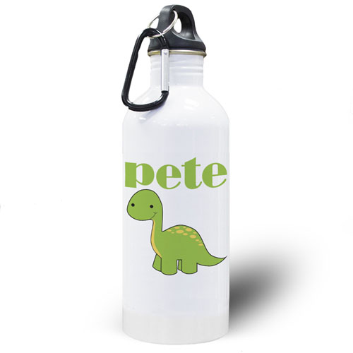 Personalised Photo Dinosaur Water Bottle