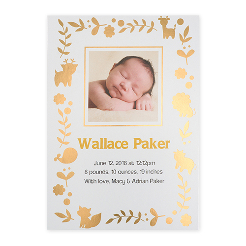 Foil Gold Animal Kingdom Personalised Photo Birth Announcement Cards