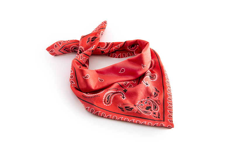 Create custom bandanas by adding your pet photos, team logo or favourite pattern designs